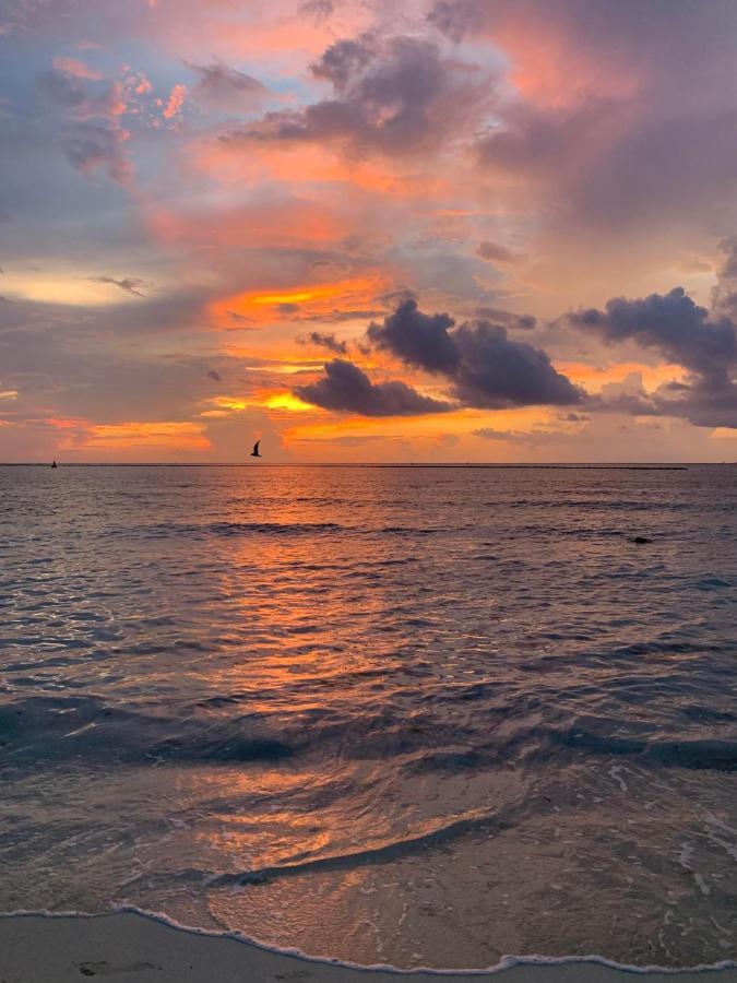 Casa Calendario Azteca Hotel Playa del Carmen Kültér fotó